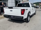 New 2025 Ford F150 XL image 3