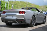 Used 2024 Ford Mustang Premium image 6