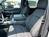 New 2025 Ford F150 XLT image 4
