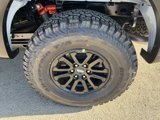 New 2025 Ford F150 Raptor image 5