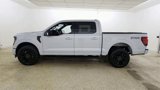 New 2025 Ford F150 XLT w/ Equipment Group 303A High image 5
