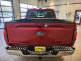 New 2025 Ford F150 XLT w/ Equipment Group 302A MID image 5