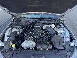 Used 2017 Ford Mustang GT Premium w/ GT Performance Package image 5