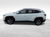 Certified 2024 Hyundai Tucson SEL image 5