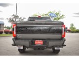 New 2025 Ford F250 Platinum image 6
