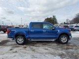 New 2025 Ford F150 XLT w/ Equipment Group 301A Standard image 4