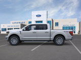 New 2025 Ford F150 XLT w/ Equipment Group 302A MID image 3