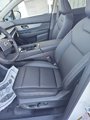 New 2025 Nissan Murano SL image 6