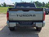 New 2025 Toyota Tundra Platinum image 5