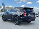 New 2025 Hyundai Palisade Calligraphy image 3