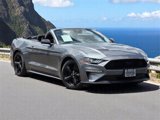 Used 2022 Ford Mustang Convertible w/ Equipment Group 101A image 2