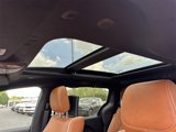 New 2025 Chrysler Pacifica Pinnacle image 5