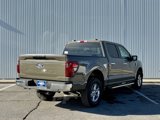 New 2025 Ford F150 XLT w/ Equipment Group 301A Standard image 5