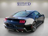 Used 2024 Ford Mustang Coupe image 6