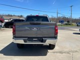 New 2025 Ford F150 XLT image 4