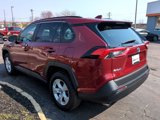Used 2019 Toyota RAV4 XLE image 6