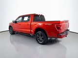 Certified 2023 Ford F150 XLT w/ Equipment Group 302A High image 5
