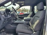 New 2025 Ford F150 XLT w/ Equipment Group 302A MID image 6