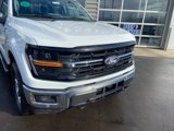 New 2025 Ford F150 XLT w/ Equipment Group 302A MID image 5