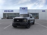 New 2025 Ford F150 XLT w/ Equipment Group 303A High image 2