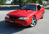 Used 1997 Ford Mustang Cobra image 2