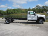 New 2025 Ford F550 2WD Regular Cab Super Duty image 2