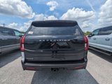 New 2025 Ford Expedition Active image 4