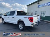 Used 2021 Ford F150 XLT w/ Equipment Group 301A Mid image 3