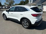 Used 2022 Ford Escape SEL image 3