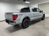 New 2025 Ford F150 XLT image 6