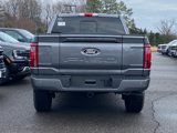 New 2025 Ford F150 Platinum image 4