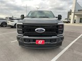 New 2025 Ford F250 Platinum image 2