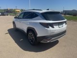 New 2025 Hyundai Tucson Limited image 6