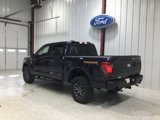 New 2025 Ford F150 Tremor image 3