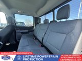 New 2025 Ford F150 XLT w/ Equipment Group 302A MID image 5
