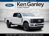 New 2025 Ford F250 Platinum w/ Snow Plow Prep Package image 3