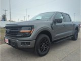 New 2025 Ford F150 XLT image 2