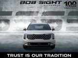 New 2026 Kia Carnival SX image 3