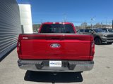 New 2025 Ford F150 XLT w/ Equipment Group 302A MID image 4