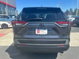 Certified 2025 Toyota RAV4 XLE Premium image 4