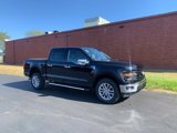 New 2024 Ford F150 XLT w/ Equipment Group 303A High image 2