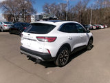 Used 2020 Ford Escape SEL image 5