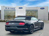 Certified 2023 Ford Mustang Premium image 5