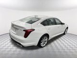 New 2025 Cadillac CT5 Premium Luxury image 6