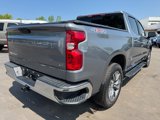 Used 2020 Chevrolet Silverado 1500 LT w/ All-Star Edition image 5