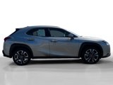 Used 2022 Lexus UX 250h w/ Accessory Package (Z1) image 6