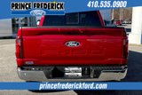 New 2025 Ford F150 XLT w/ Equipment Group 303A High image 4