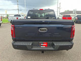New 2025 Ford F150 XLT w/ Equipment Group 302A MID image 6