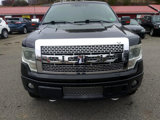 Used 2013 Ford F150 Platinum image 3