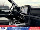 New 2025 Ford F150 XLT w/ Equipment Group 302A MID image 3